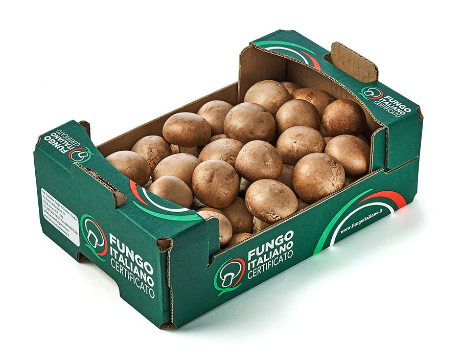 Bauletto champignon crema