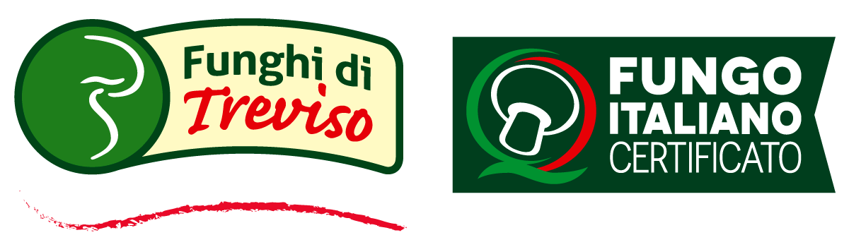 Consorzio Funghi Treviso Logo