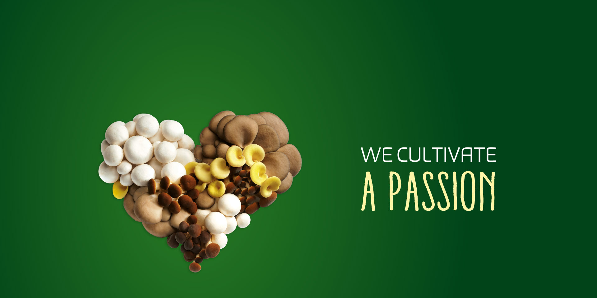 Coltiviamo una passione, consorzio funghi di treviso