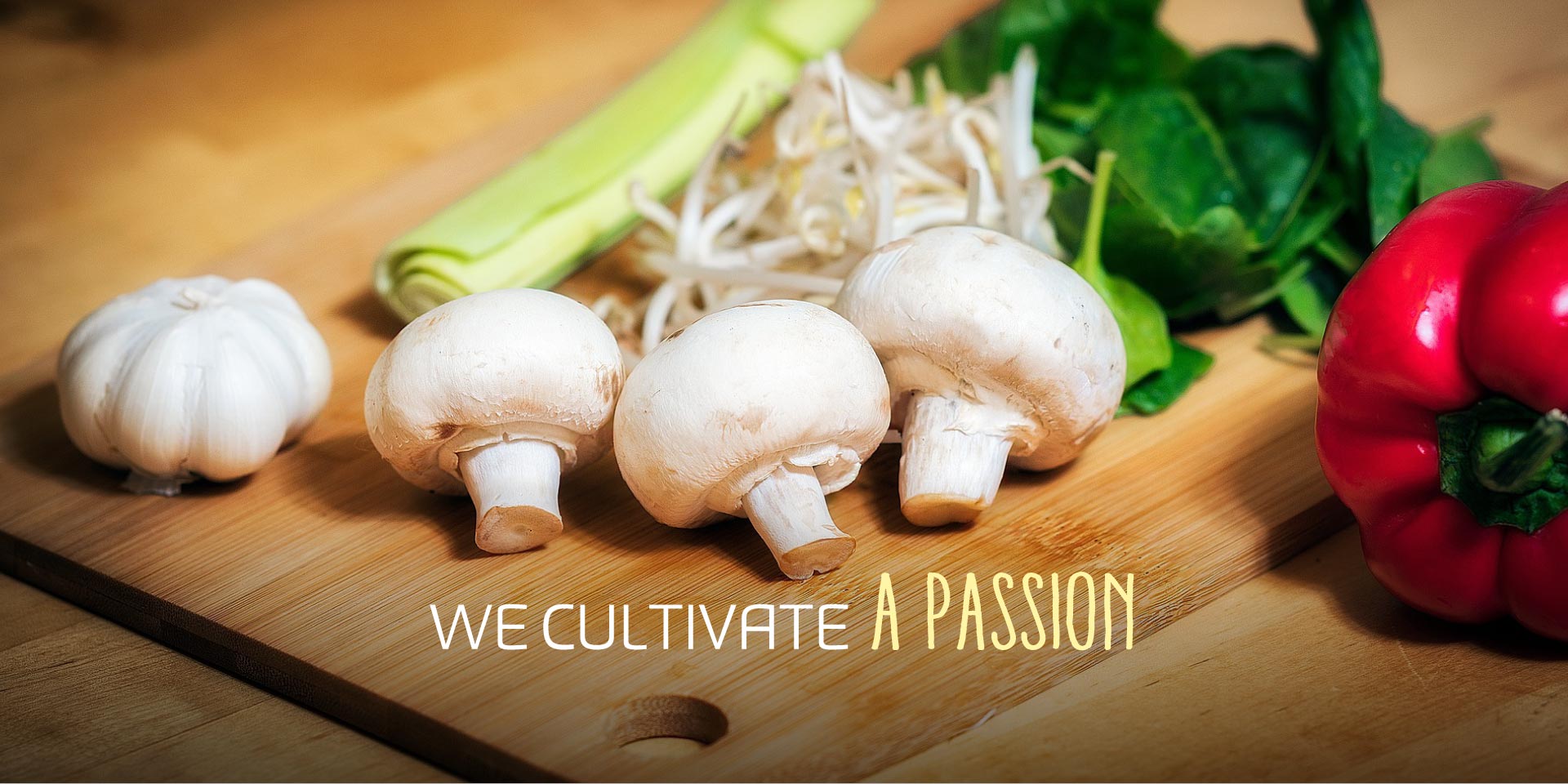 Coltiviamo una passione, consorzio funghi di treviso