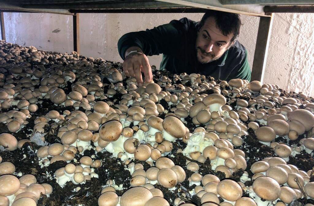 BIOLOGICO, A CHE PUNTO SIAMO? LA PAROLA A RICCARDO FUSER BIOLOGICO, A CHE PUNTO SIAMO? LA PAROLA A RICCARDO FUSER