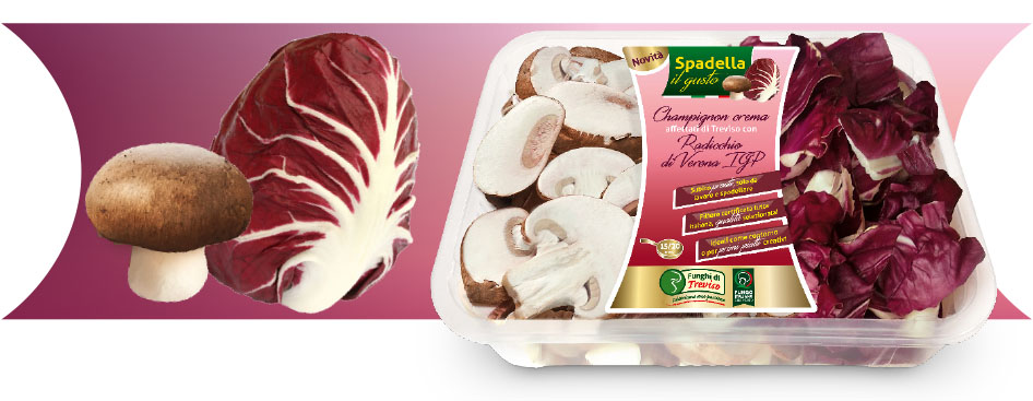 Champignon crema affettati di Treviso con Radicchio di Verona IGP