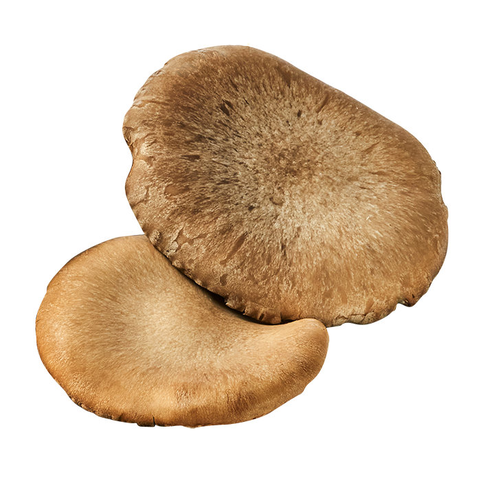 funghi-speciali-scontornati-cardoncello Funghi Cardoncelli