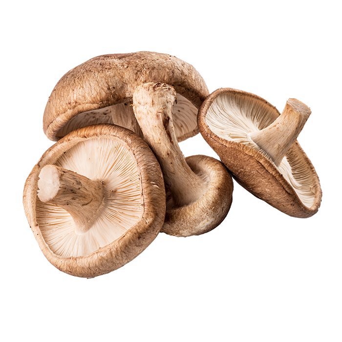funghi-speciali-scontornati-shiitake Funghi Shiitake