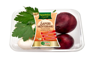 Sapori-mediterranei-cipolle