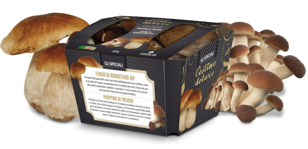 simulazione_vaschetta pioppino-porcino copia