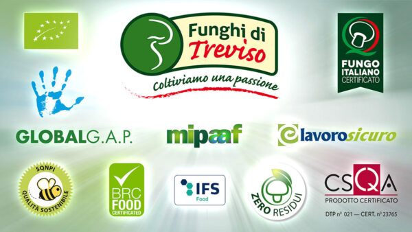 QUALI SONO LE CERTIFICAZIONI DI O.P. CONSORZIO FUNGHI DI TREVISO? QUALI SONO LE CERTIFICAZIONI DI O.P. CONSORZIO FUNGHI DI TREVISO?