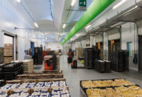 Filiera Consorzio funghi di treviso