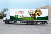 Filiera Consorzio funghi di treviso