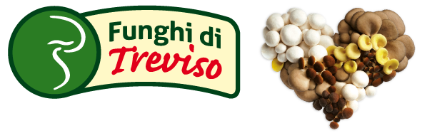 Consorzio Funghi Treviso Logo