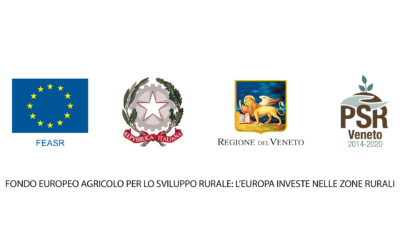 Fondo europeo agricolo per lo sviluppo rurale: l'europa investe nelle zone rurali