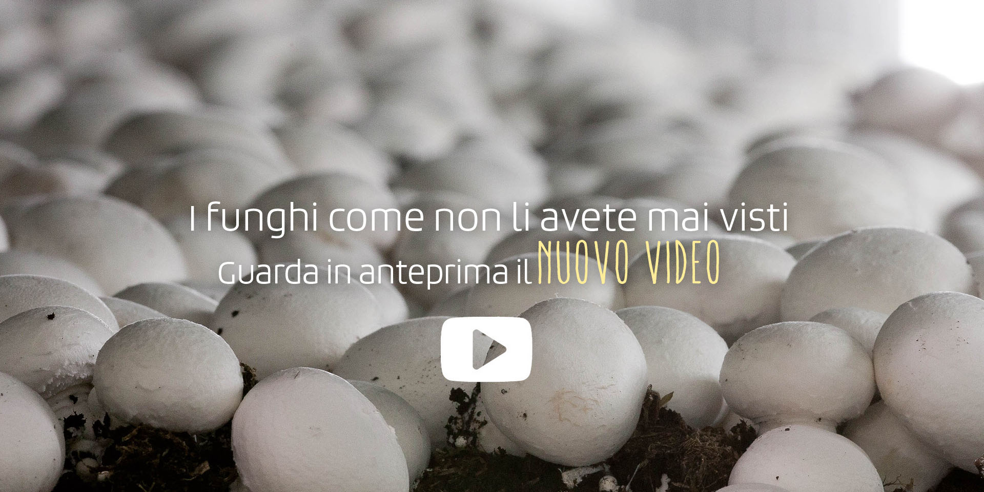 guarda il nuovo video