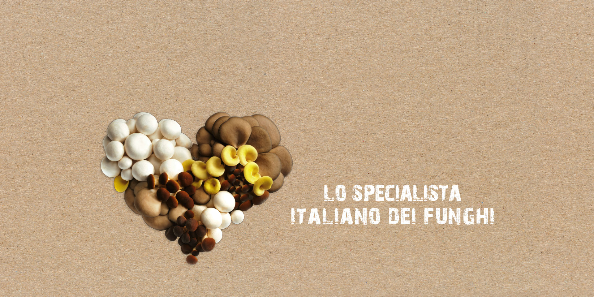 Consorzio Funghi di Treviso - Lo specialista italiano dei funghi