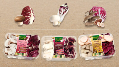 GUSTO & TERRITORIO: IL RADICCHIO TORNA PROTAGONISTA