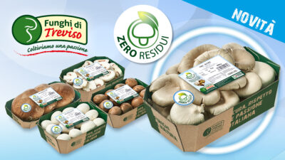LINEA “ZERO RESIDUI”: BENVENUTO PLEUROTUS OSTREATUS!